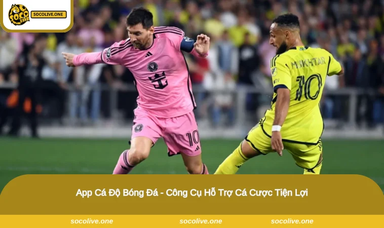 App Cá Độ Bóng Đá