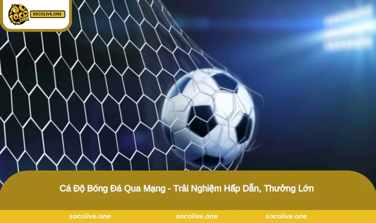 cá độ bóng đá qua mạng