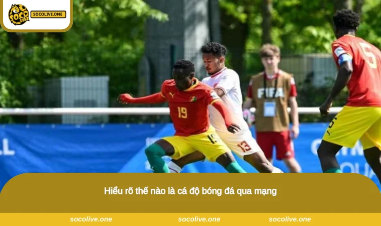 Hiểu rõ thế nào là cá độ bóng đá qua mạng