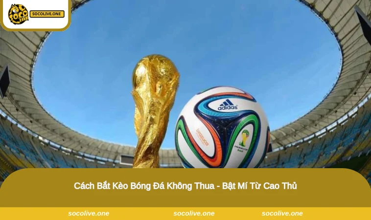 Cách Bắt Kèo Bóng Đá Không Thua