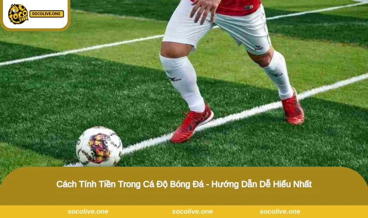 Cách Tính Tiền Trong Cá Độ Bóng Đá