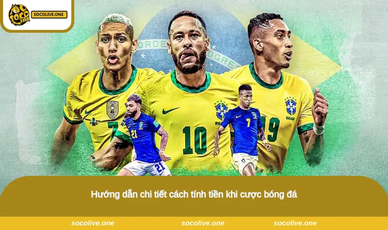 Hướng dẫn chi tiết cách tính tiền khi cược bóng đá