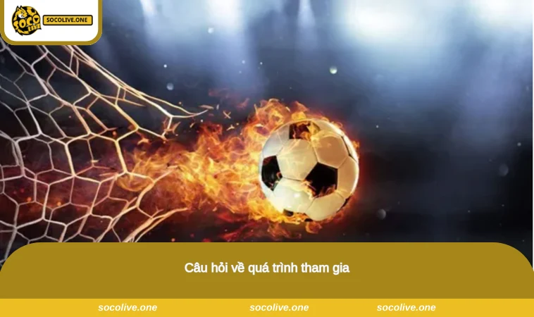 Câu hỏi về quá trình tham gia