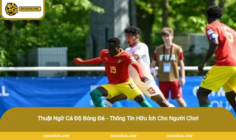 Thuật ngữ cá độ bóng đá