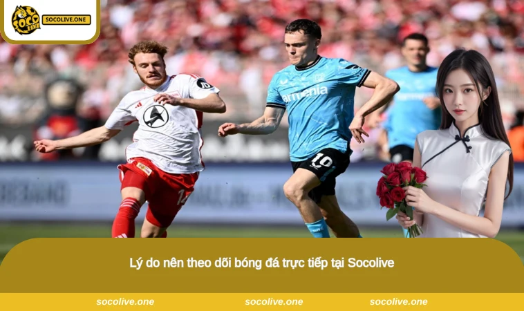 Lý do nên theo dõi bóng đá trực tiếp tại Socolive