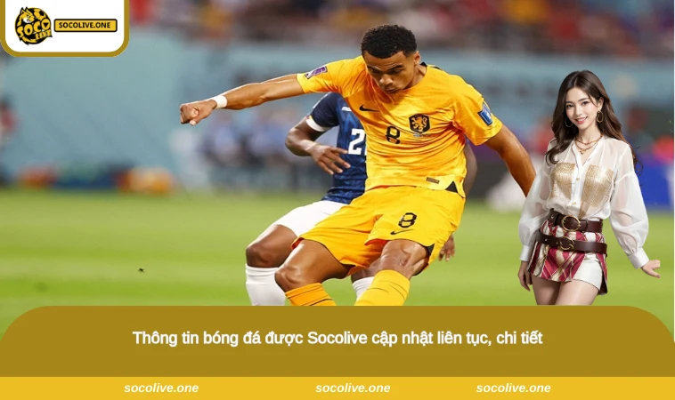 Thông tin bóng đá được Socolive cập nhật liên tục, chi tiết