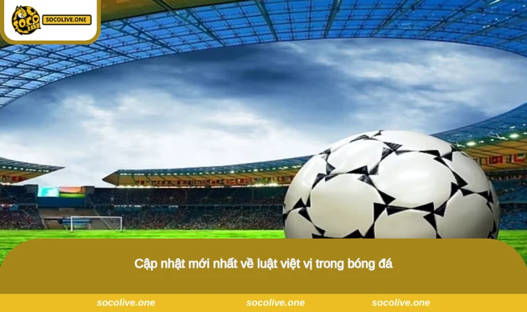 Việt Vị Là Gì? Hiểu Rõ Về Lỗi Thi Đấu Trong Bóng Đá 3 Cập nhật mới nhất về luật việt vị trong bóng đá